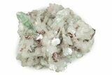 Gemmy Apophyllite Crystals with Stilbite - India #243887-2